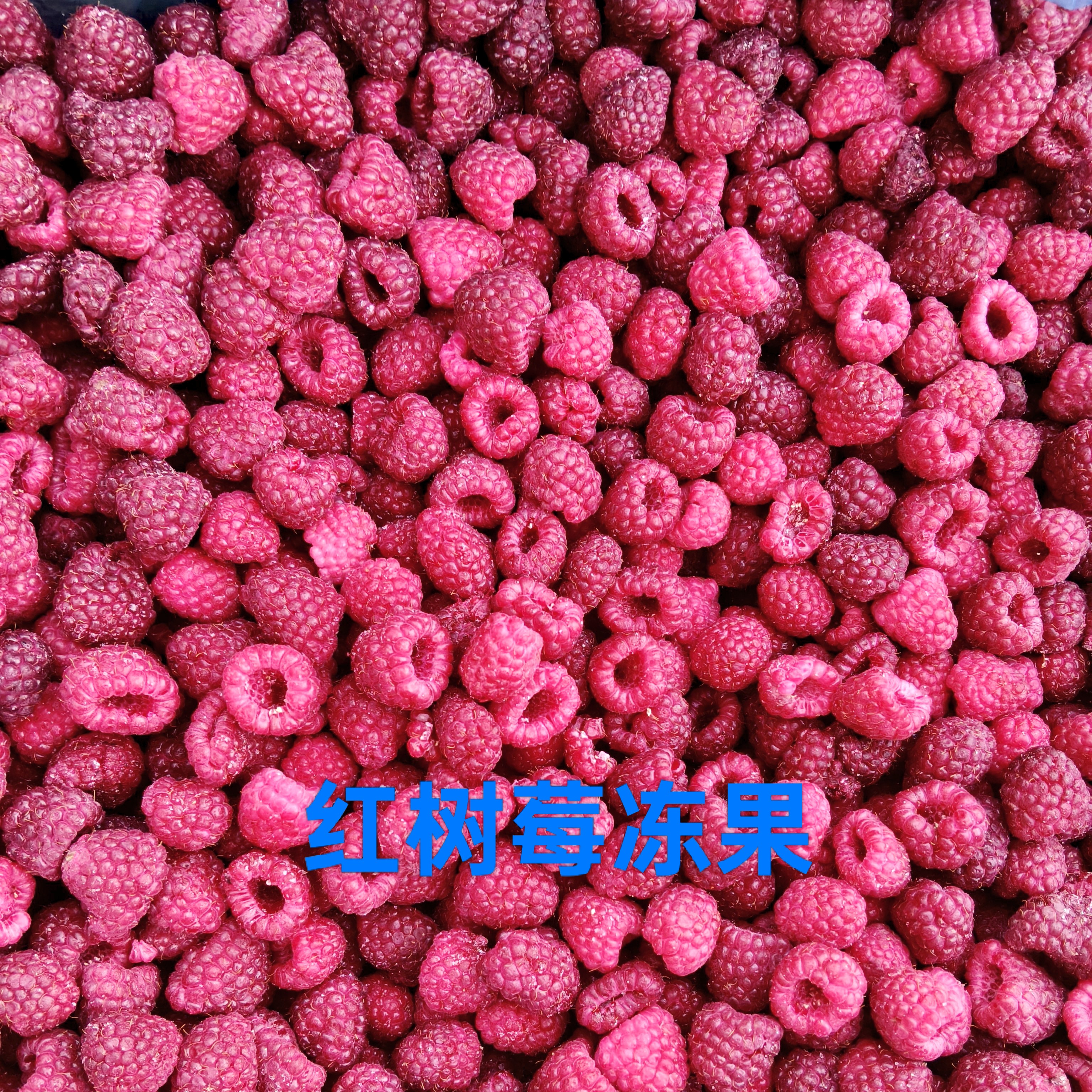 红树莓冻果可整粒发货做果酱榨汁东北产地直发