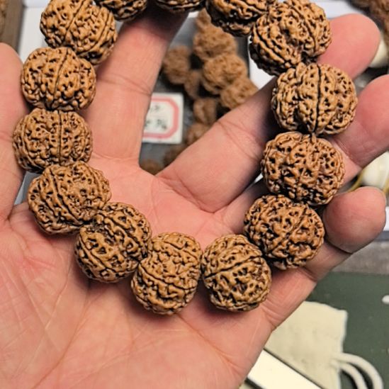 手串金刚菩提六瓣大金刚手串23左右尺寸，原皮原色