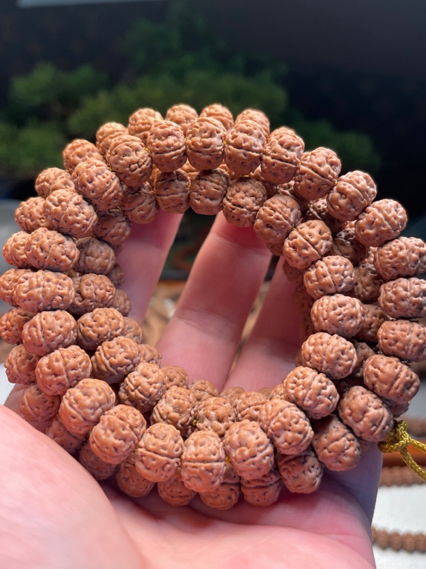 纯血老树王小金刚108原皮原色不滚筒泡药10.8高度8一物一图