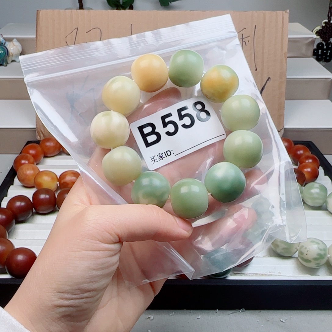 吊坠菩提根/象牙果菩提2.1