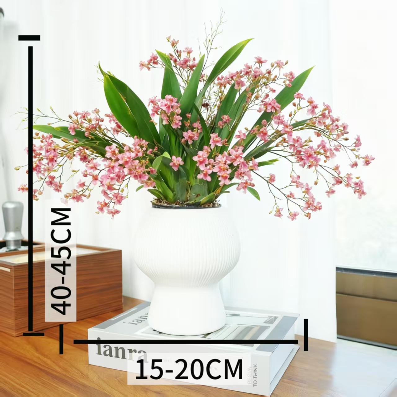 【梦香兰丨粉色】带粉色花苞5-7支花剑文心兰浓香桌面好养花卉绿植