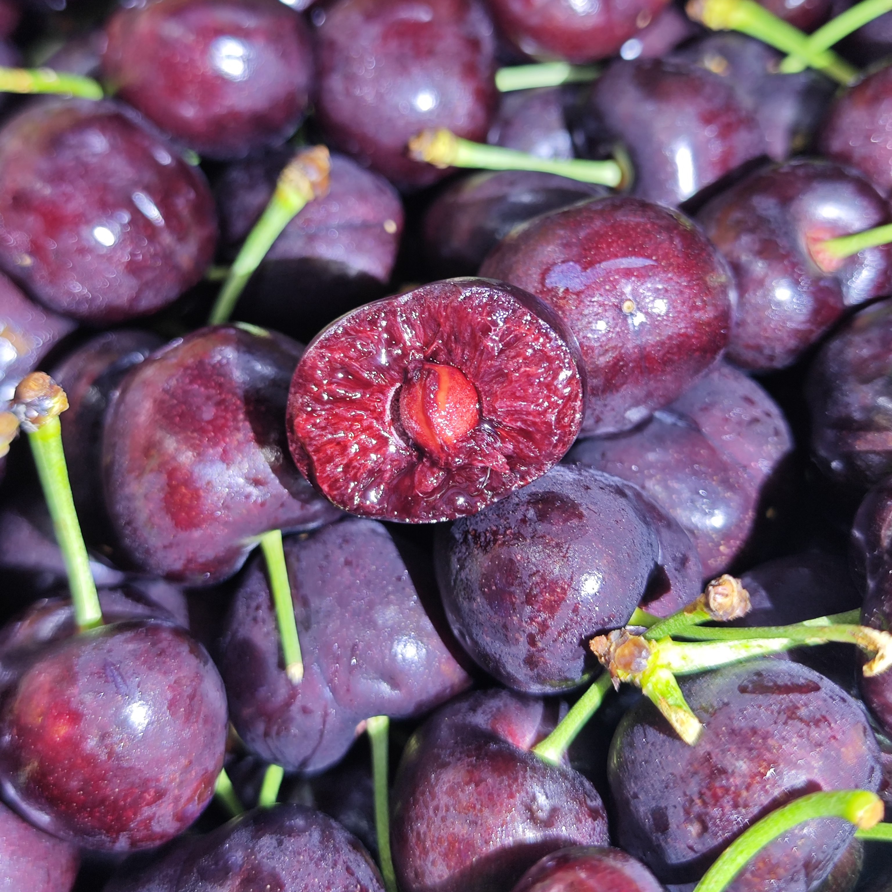 智利海运桑提娜车厘子4JD2斤装圣诞礼盒(附赠卡尺)智利