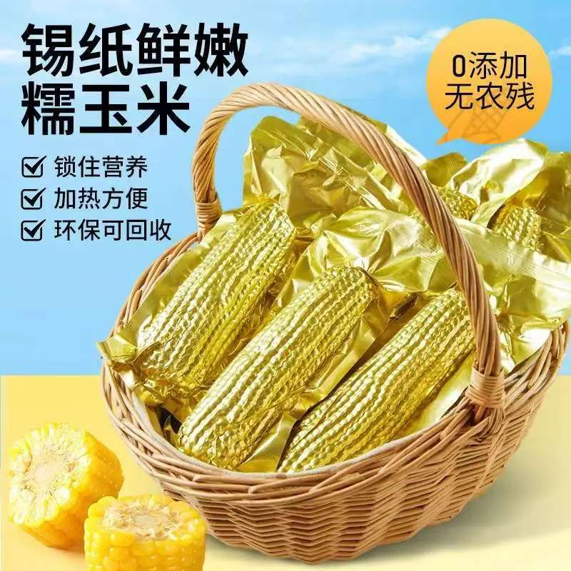 【铝箔12根8-9斤大果】25年头茬黄糯东北黑土地试吃4根300-380g玉米