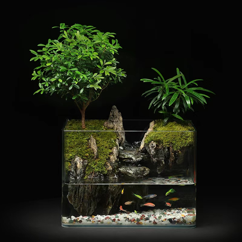 悬山-25方室内桌面景观真实绿植造景创意微景观可养鱼桌面绿植