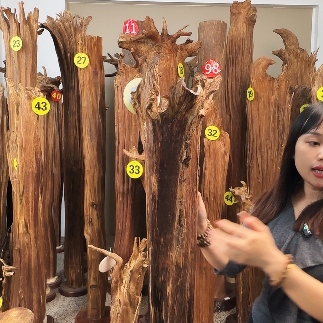 沉香碎屑沉香天然沉香原材料香料熏料