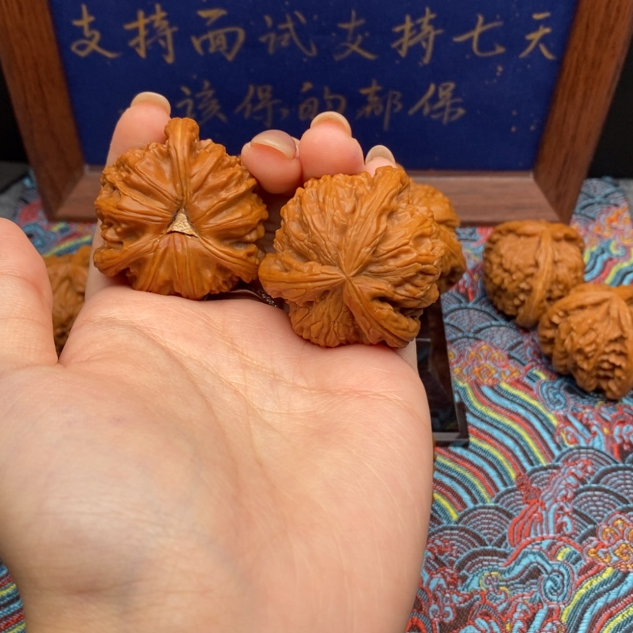 【闪购商品】陈*洋白狮
