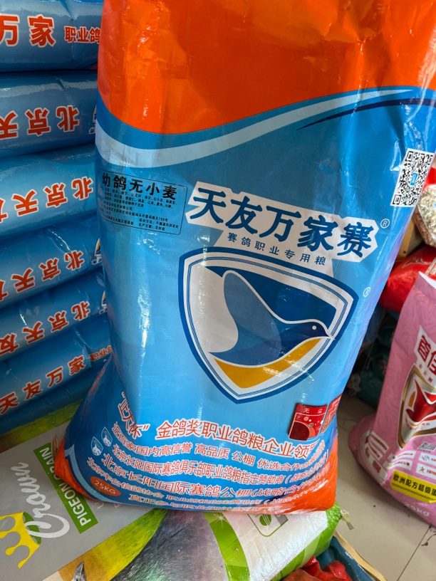 天友万家幼鸽无小麦鸟粮