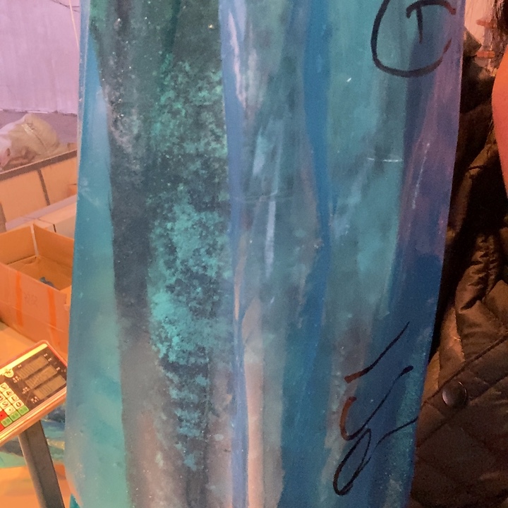 用***6中国大陆渤海湾野生燕鲅鱼5号