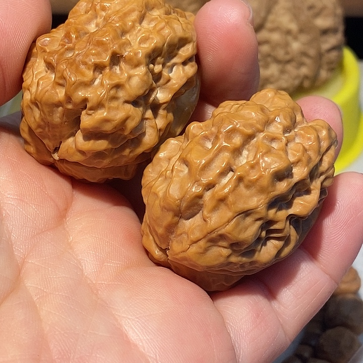 文玩核桃把件77¥77777¥¥