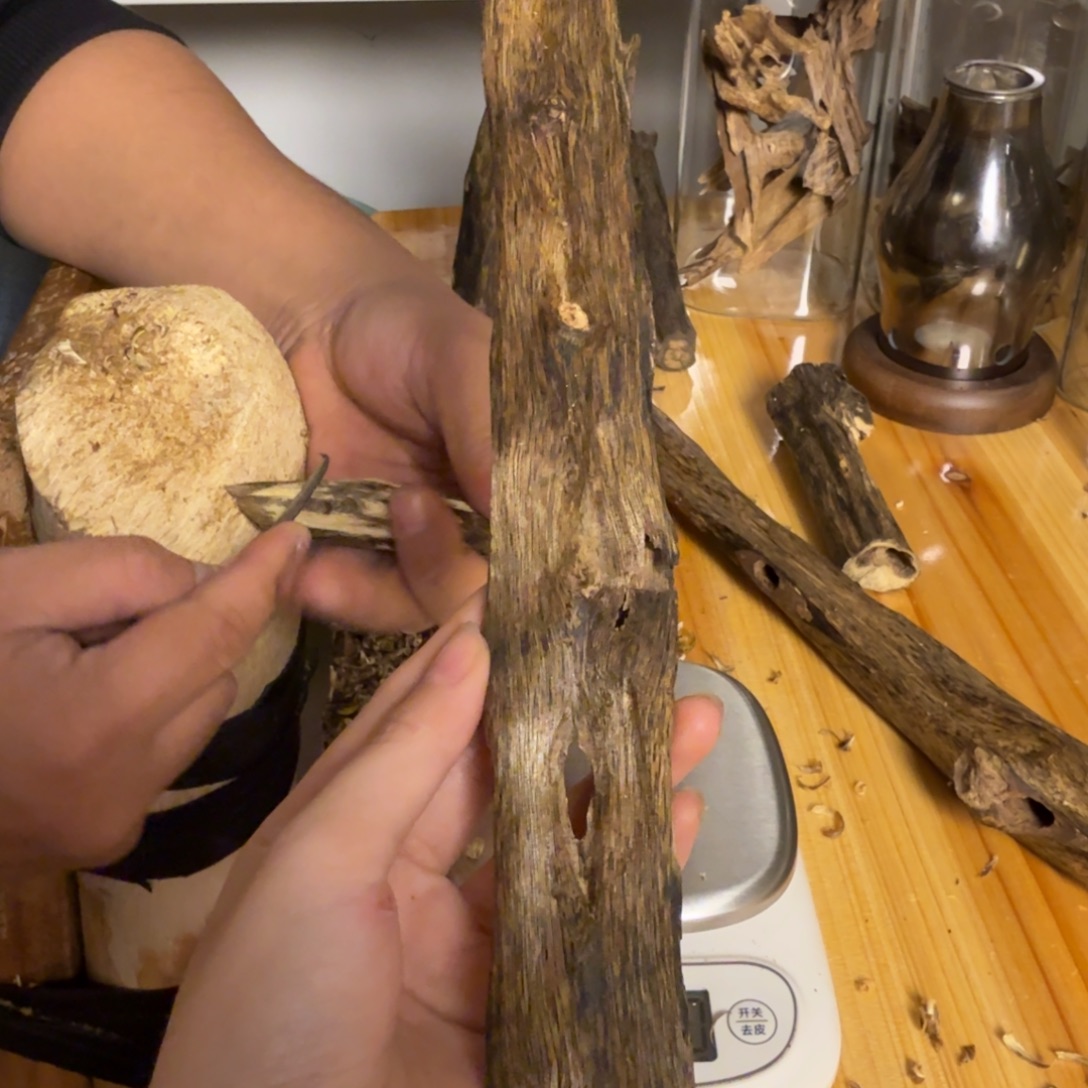 沉香白奇虫漏香31克