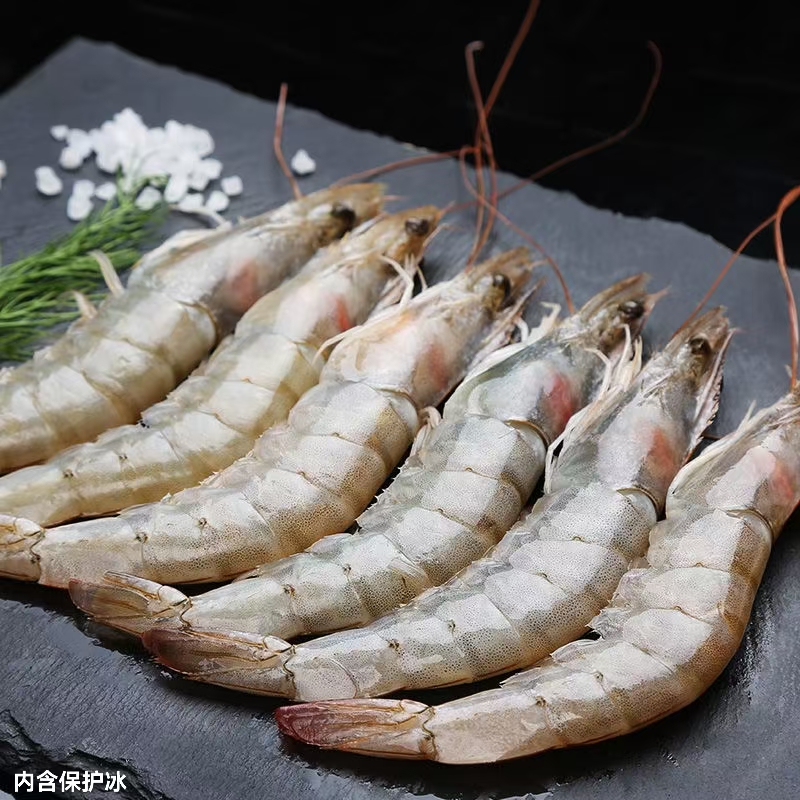 【专属链接】连云港发货新鲜海鲜国产冷链发货 海水虾五斤到手整箱