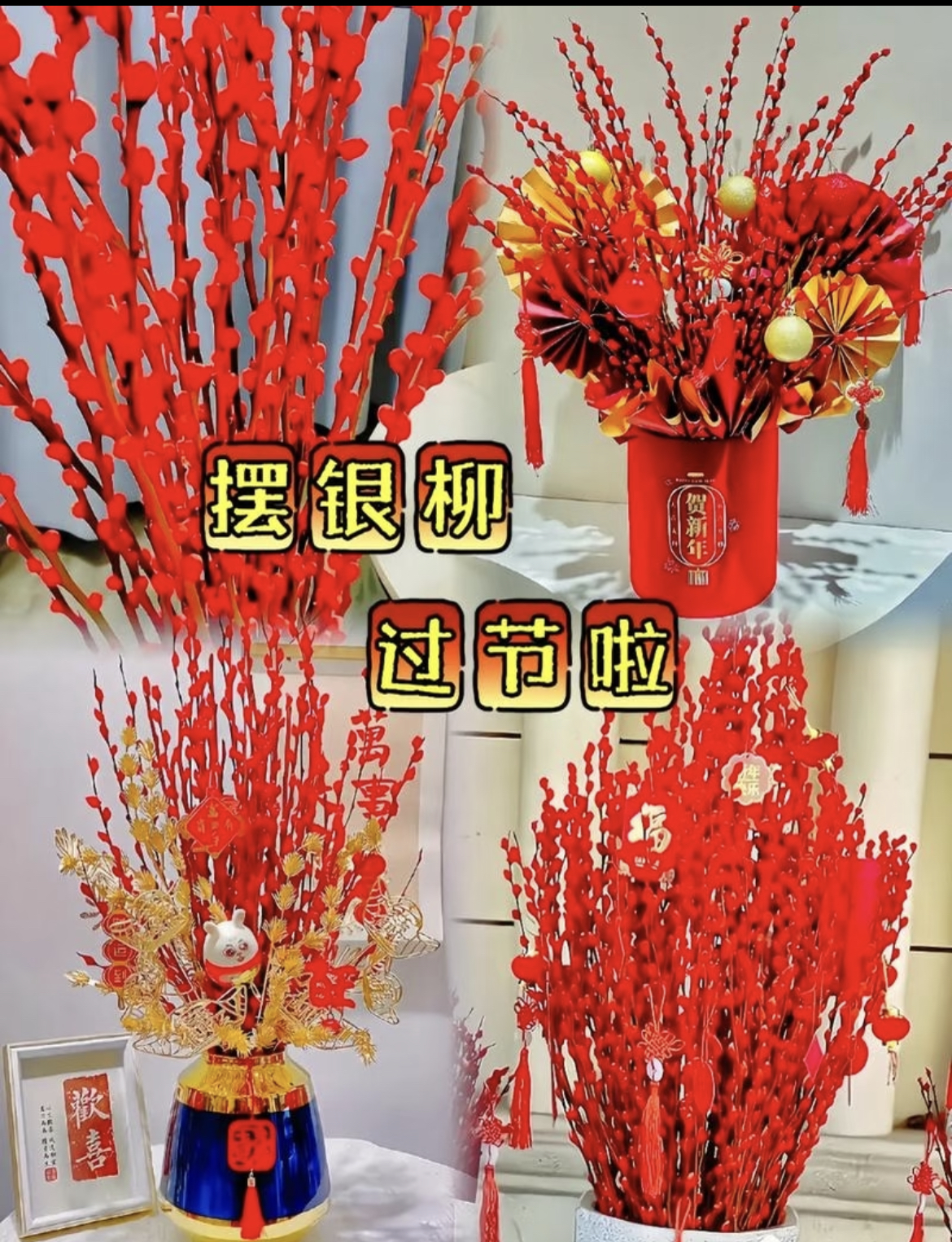 冬季红色银柳干花真花鲜枝水培植物年宵花卉适合客厅室内装饰