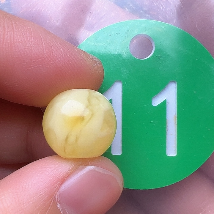 蜜蜡裸石未镶嵌花粉13m m