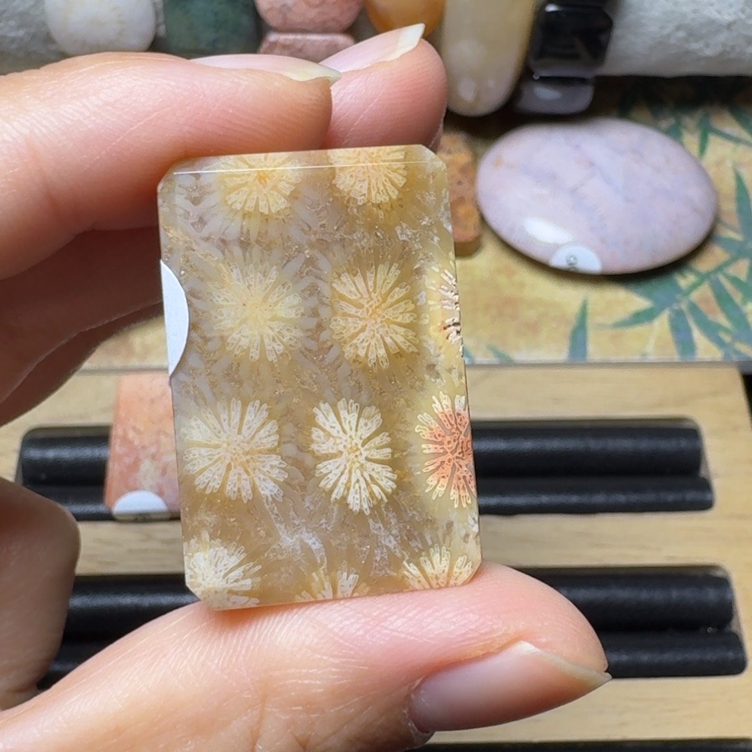 硅化玉带点粉骨骼的清晰黄花未镶嵌