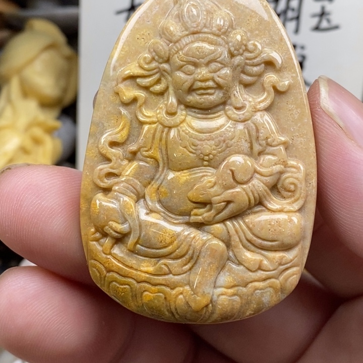 硅化珊瑚（珊瑚玉）未镶嵌颈饰