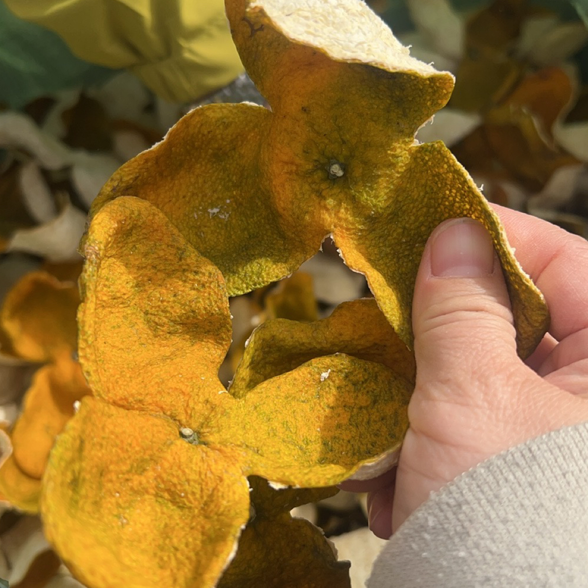 二红皮新皮自然生晒核心产区陈皮代用茶