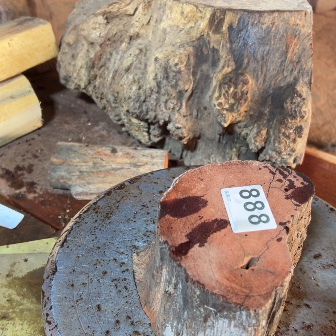 大果紫檀（缅甸花梨）