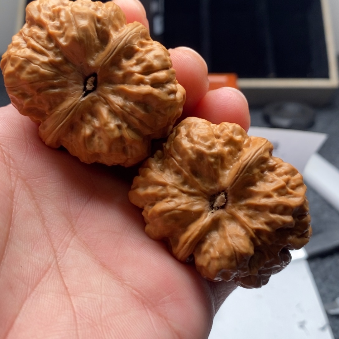 忍***人好的我真的是太喜欢了