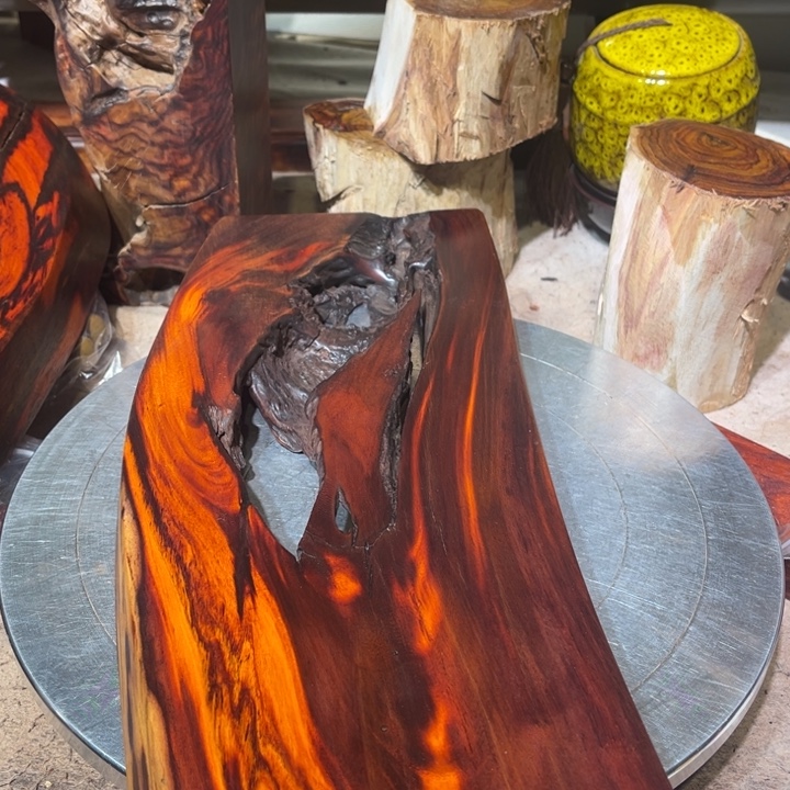 西***北香榧木赞比亚木木木木木