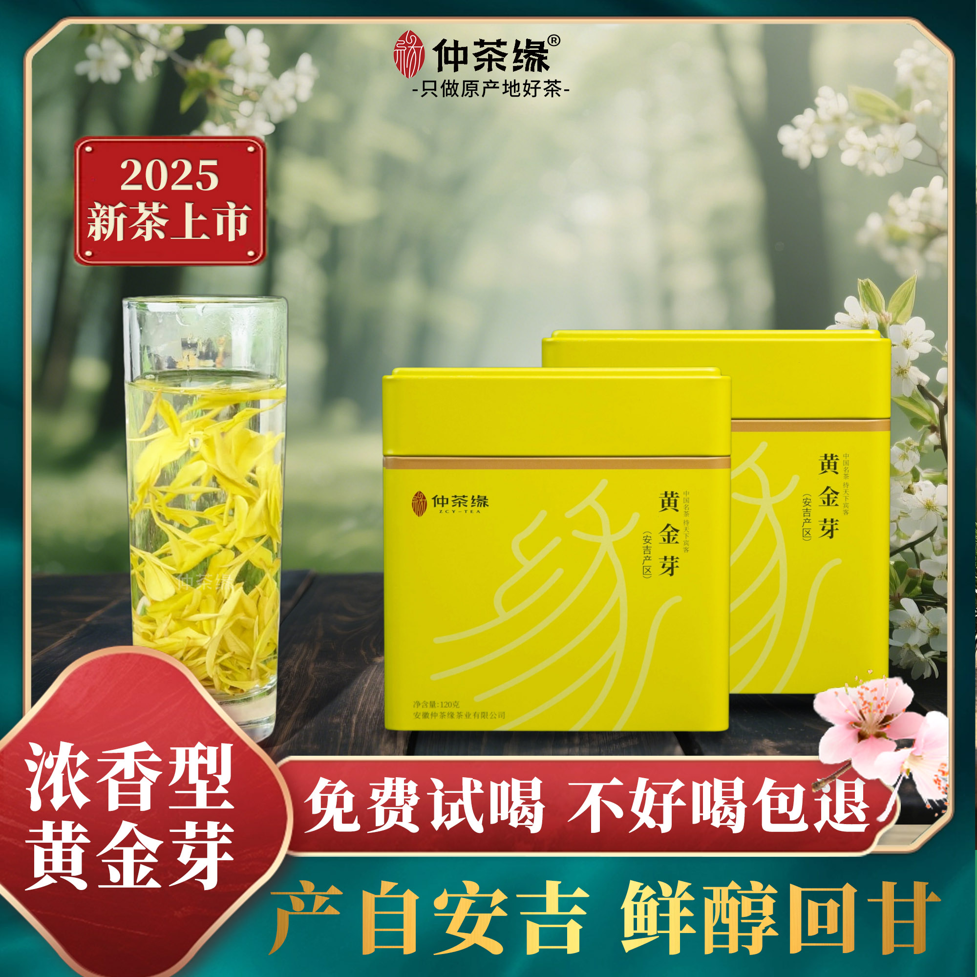 2025年黄金芽正宗新茶春茶安吉高山绿茶浓香醇厚好茶送礼罐装礼盒
