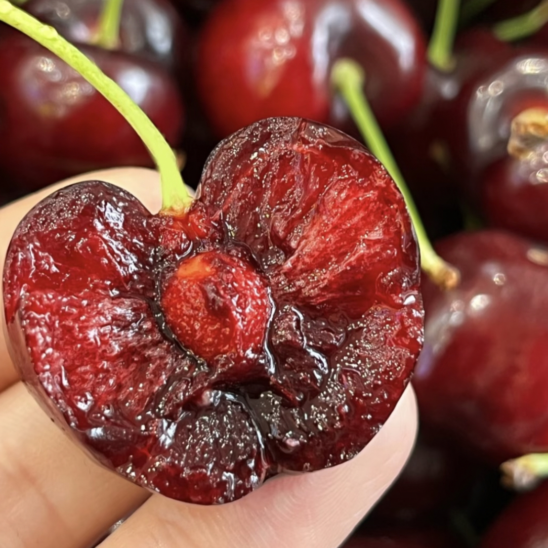 智利进口车厘子海运J-4J新鲜水果2/5斤智利桑提娜樱桃智利共和国
