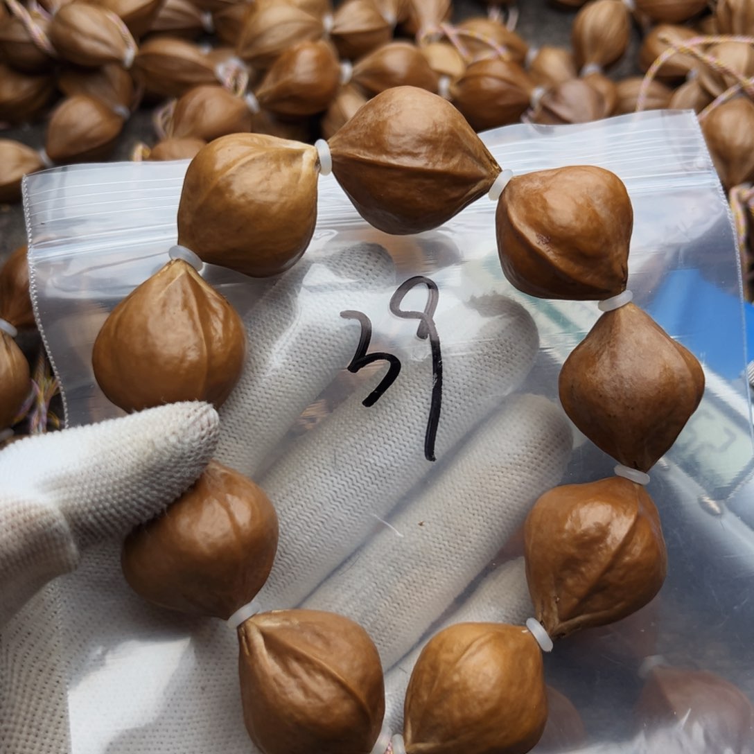 橄榄核手串/手链39号，2.5×2.9三花