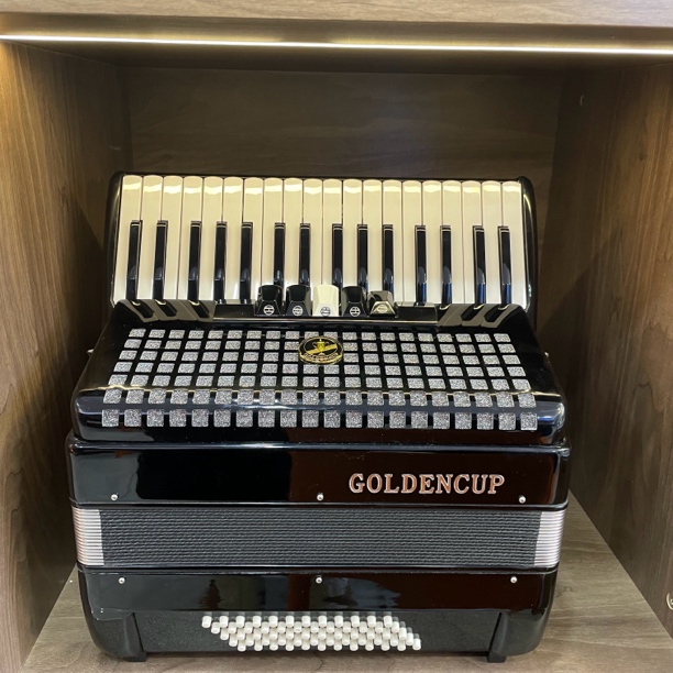 【年货节】金杯60倍思三排簧手风琴零基础入门