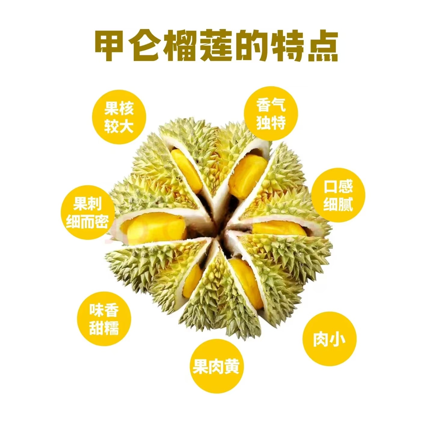 【包邮】泰国甲仑榴莲 数熟整颗鲜果 果型饱满 核大介意勿拍