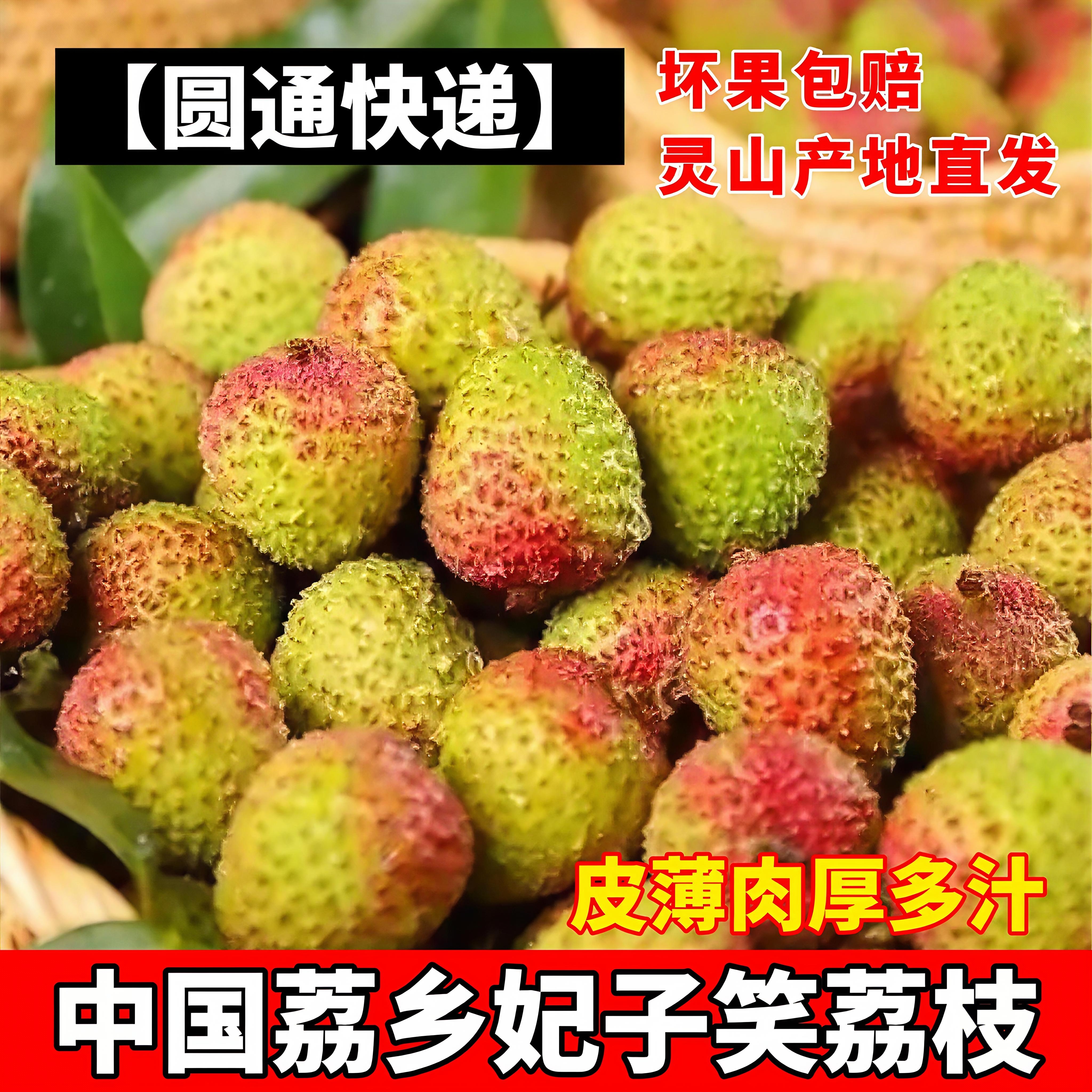 【普通快递】坏果包赔 广西灵山妃子笑荔枝皮薄多汁水果 圆通快递