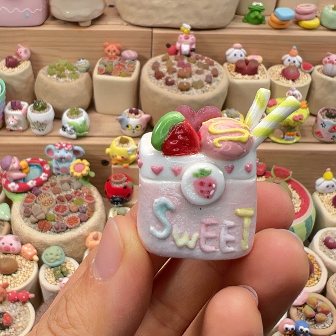 多肉植物135号拇指盆