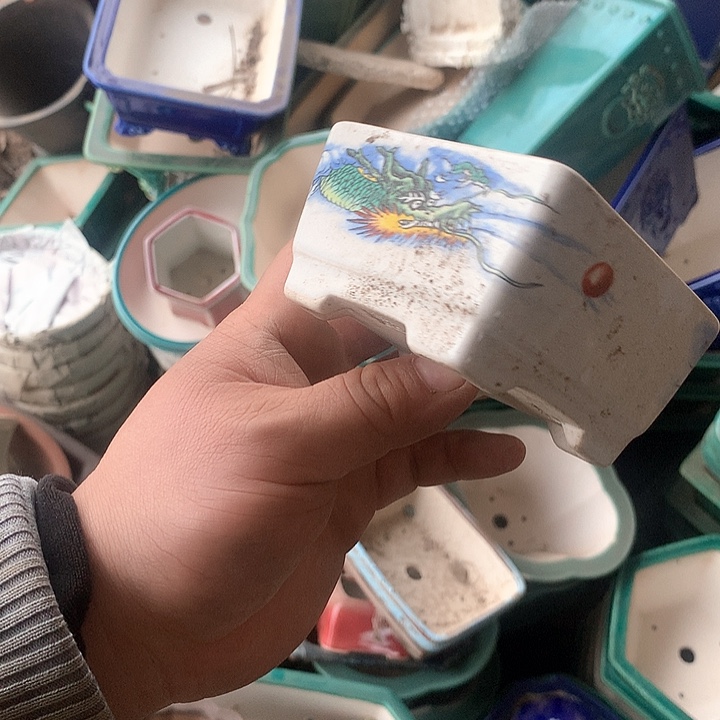 紫砂优秀青年科技人才创新人才