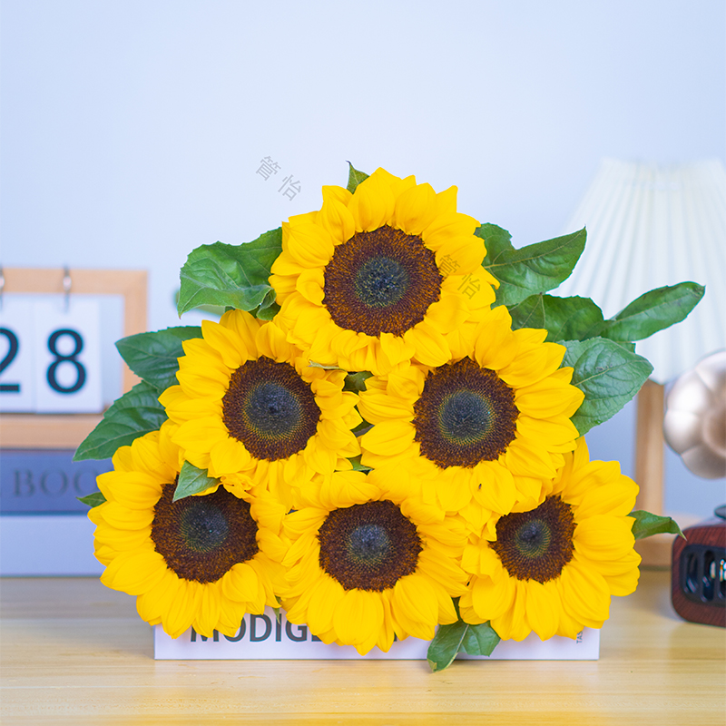 【向日葵福利】向日葵鲜花云南基地直发水养鲜花直播间现场卖花