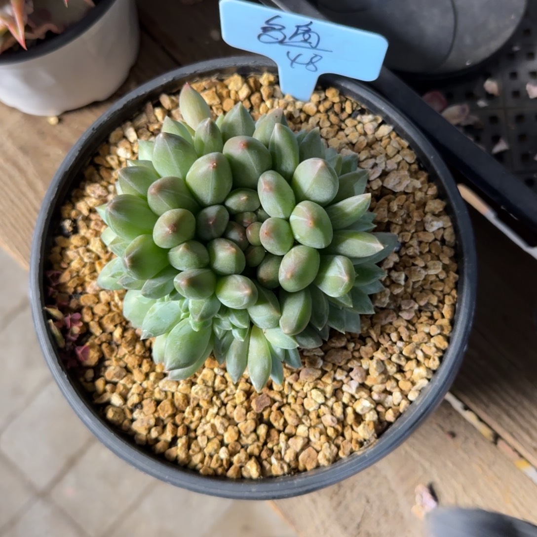 多***喵11111111111111111112222