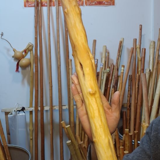 户***客秦岭石山红荀子，牛筋木