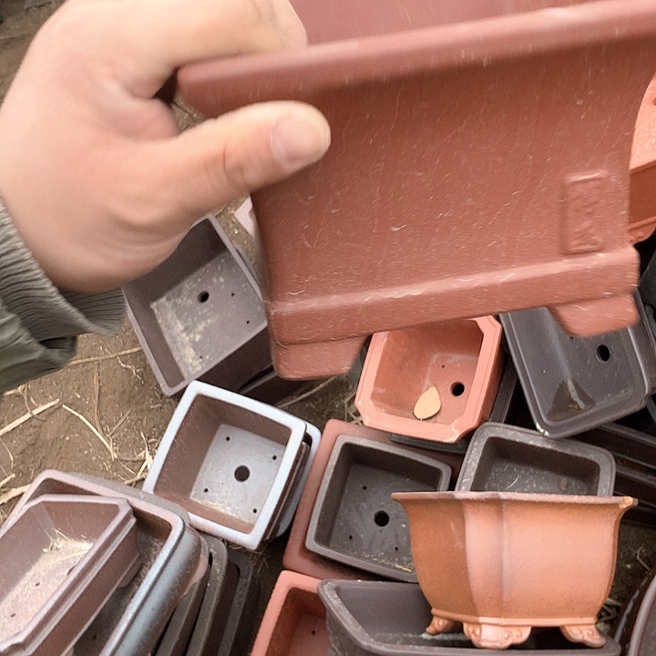 紫砂优秀青年科技人才创新人才