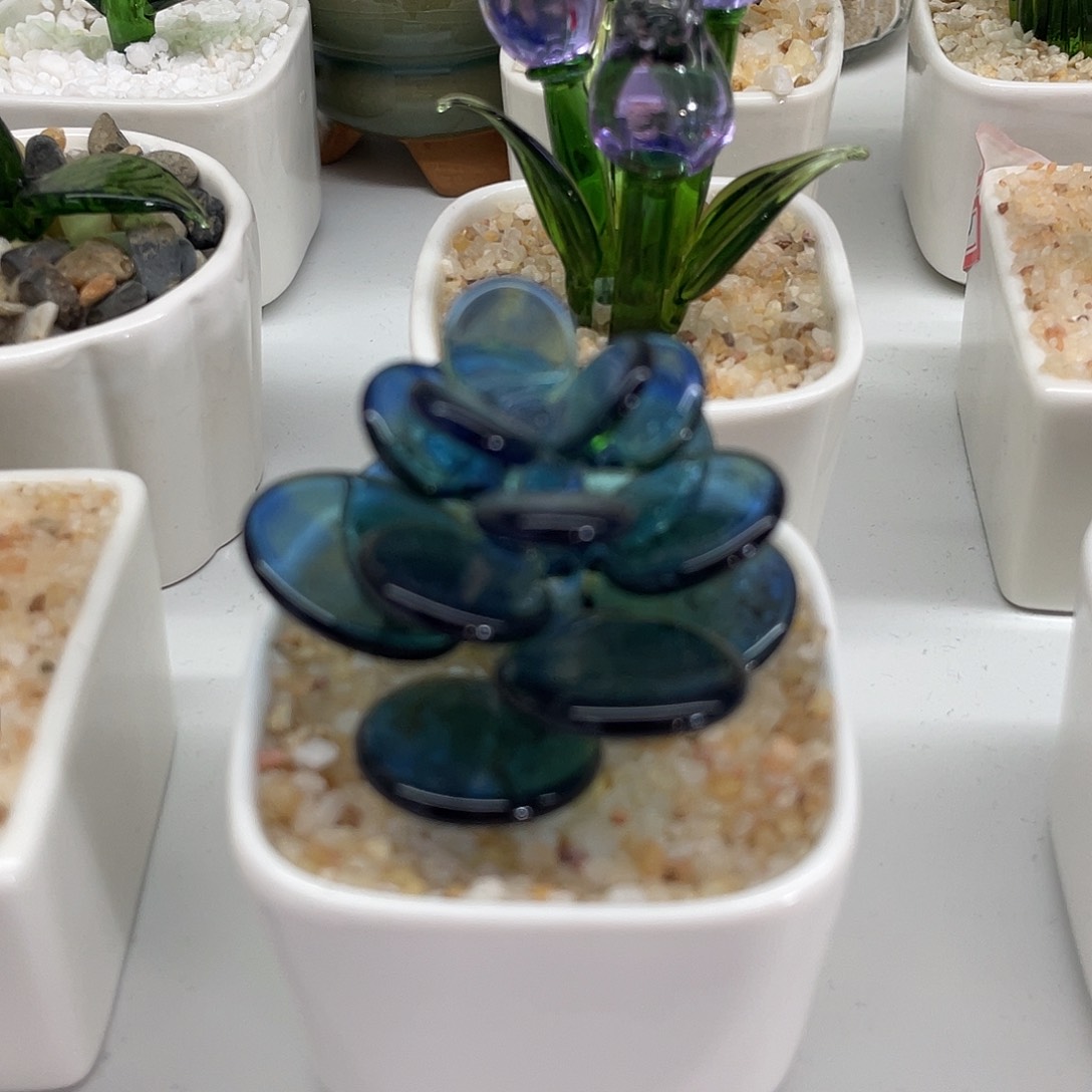 茶宠不敢接我就直接回学校啊