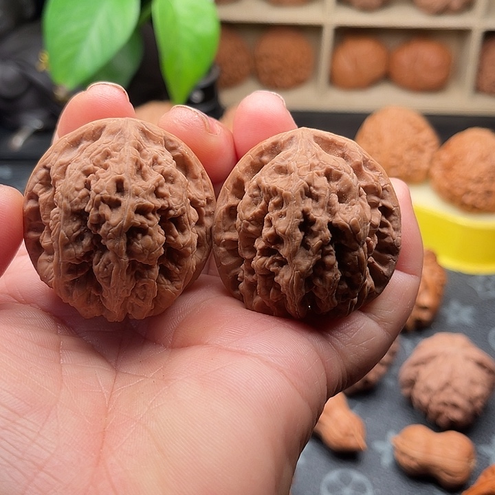 文玩核桃把件红锦鲤边42