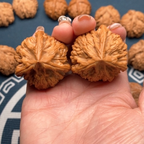 橄榄核手串/手链#*·文山三棱