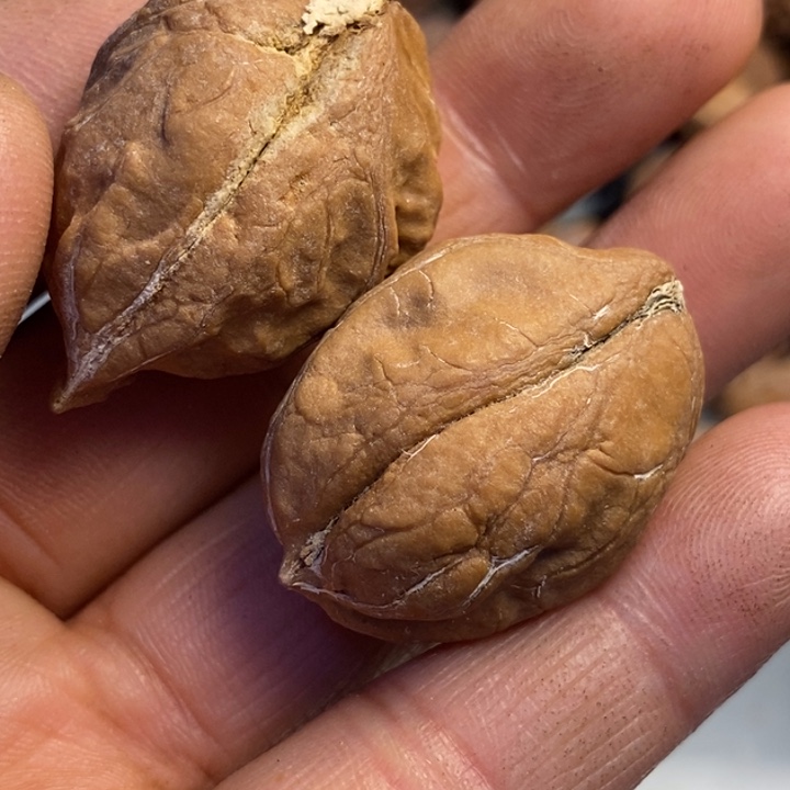 文玩核桃吊坠拿姐118