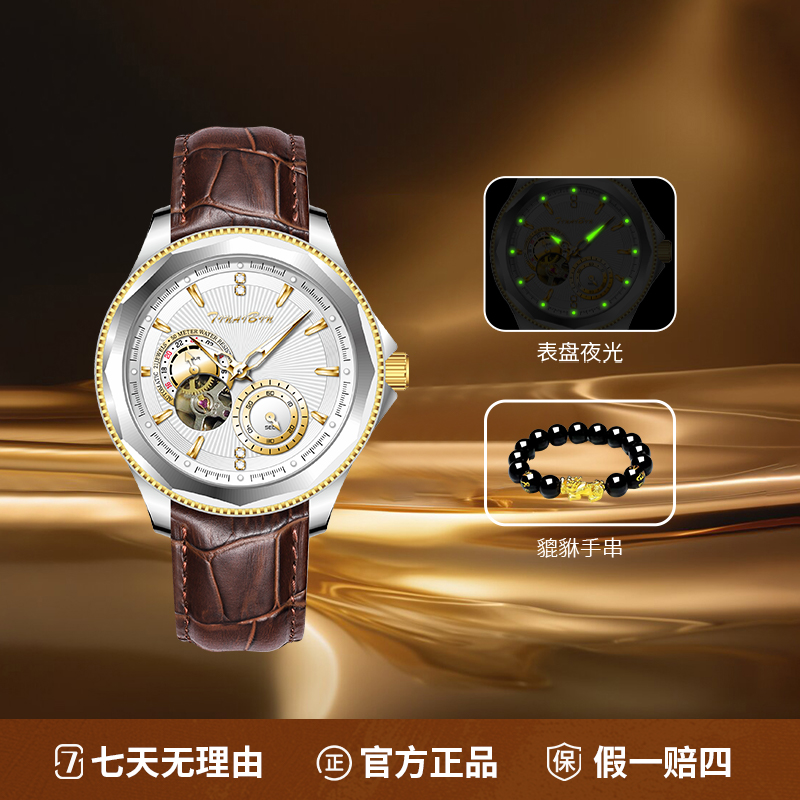 瑞士品牌TINAIBIN 凌云系列 冲破云霄自动机械男士腕表lmla