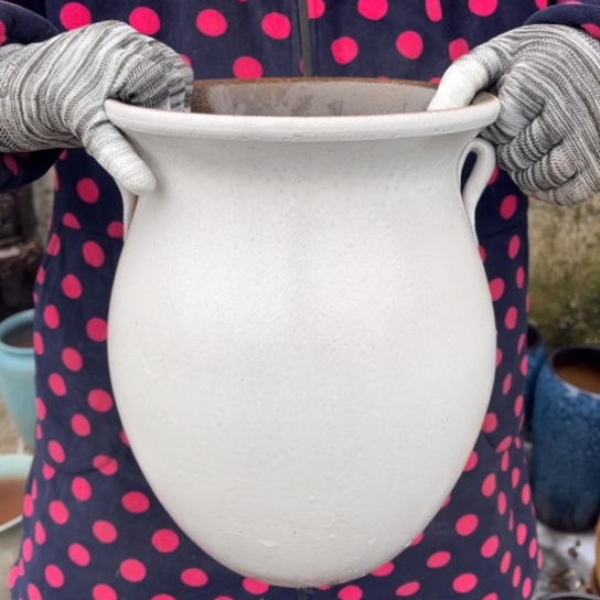 红陶口21高28正品