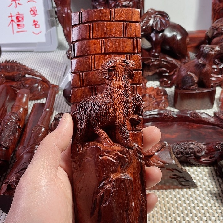 印度小叶紫檀洋洋得意