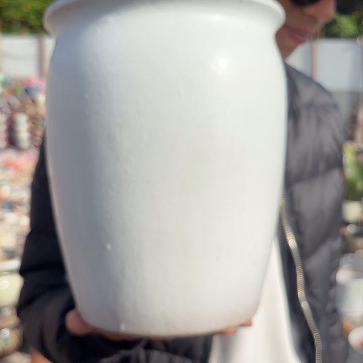 白口径20高度25一个