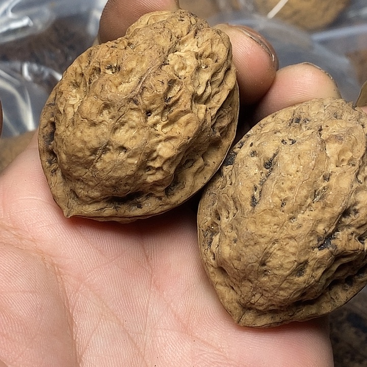 把件文玩核桃云南铁核桃78