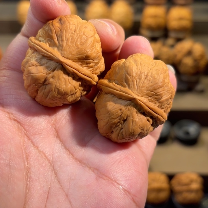 文玩核桃把件聚宝