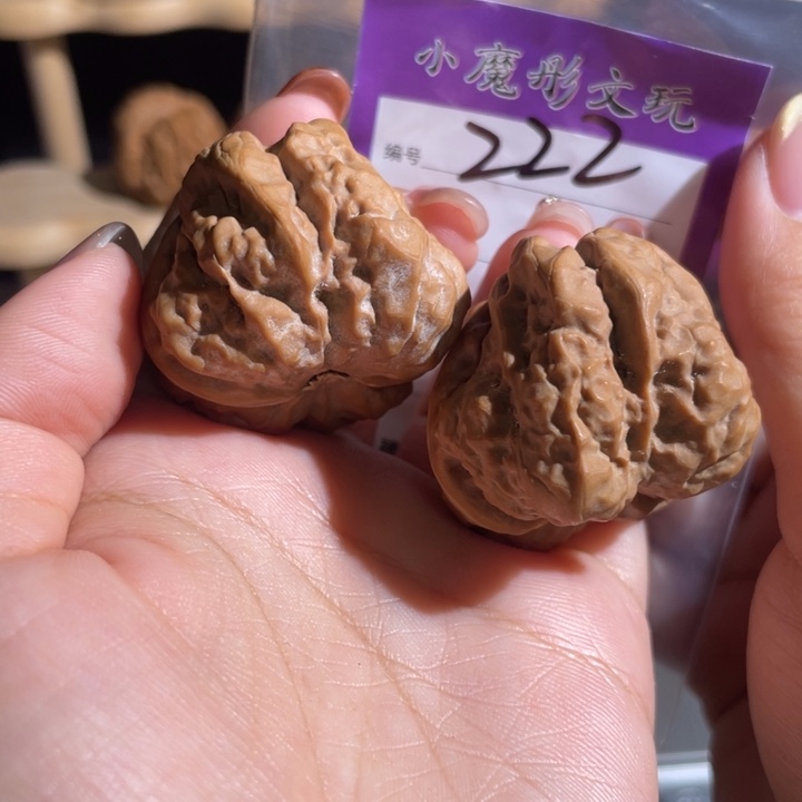 222号 哇啊啊啊啊 3777