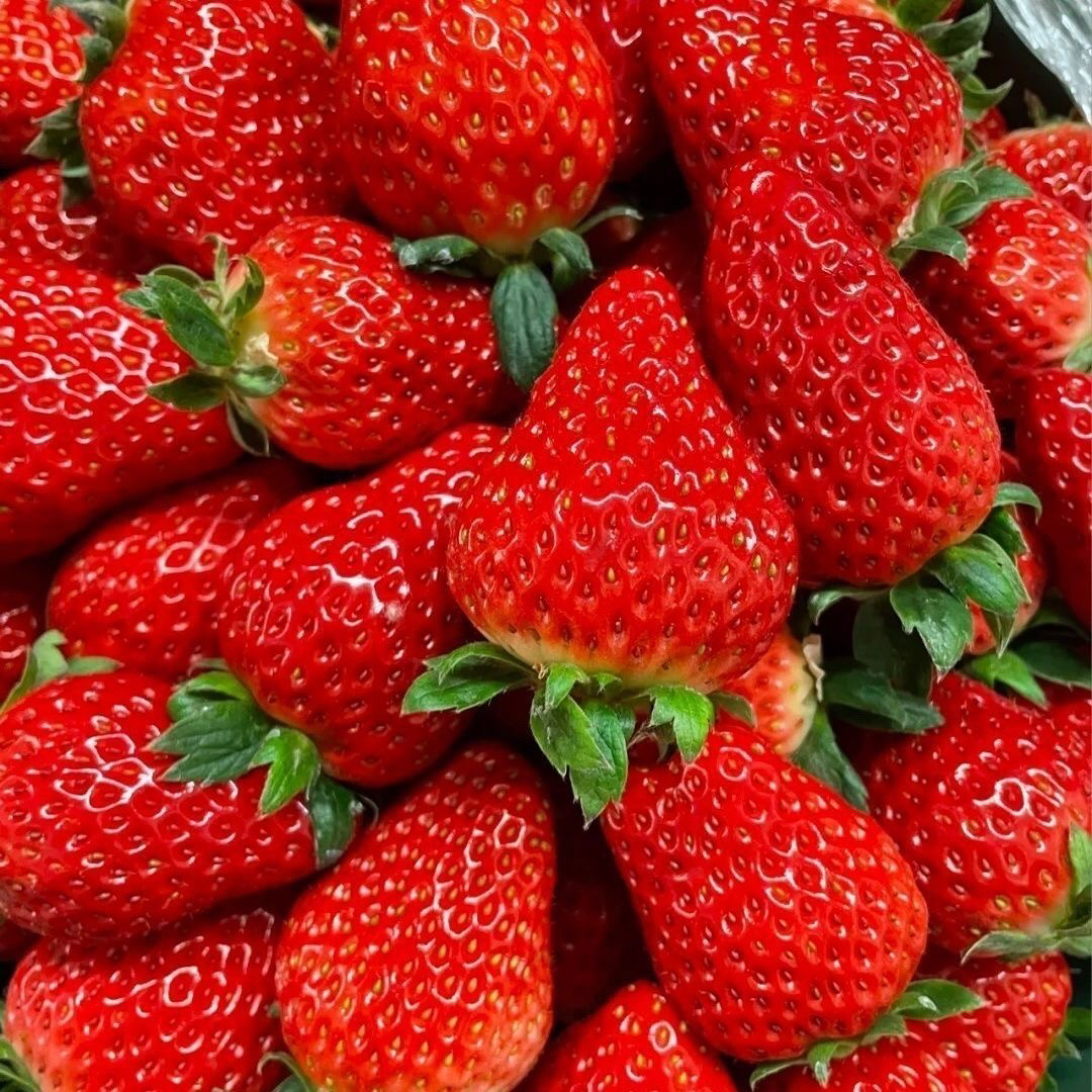 丹东奶油草莓1斤