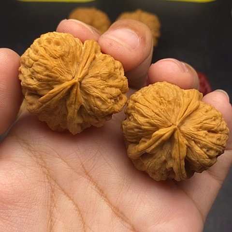 文玩核桃把件37尺云南核桃