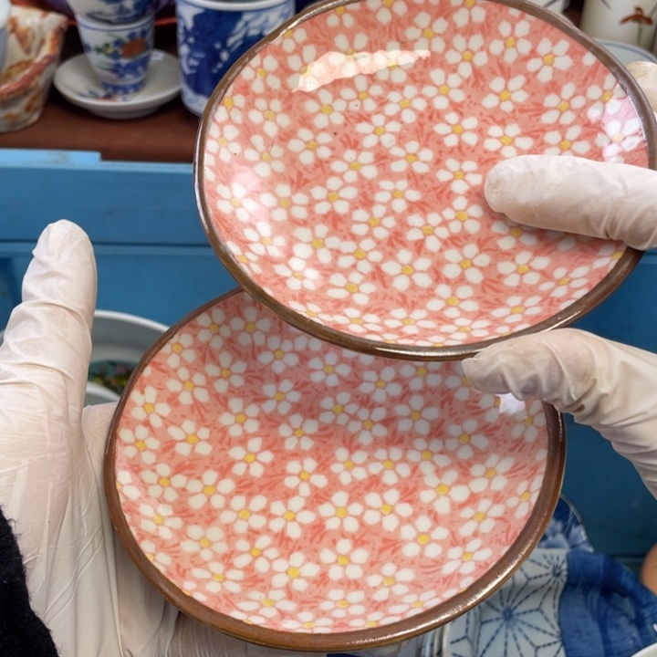 陶他家瓷器真美…开播了