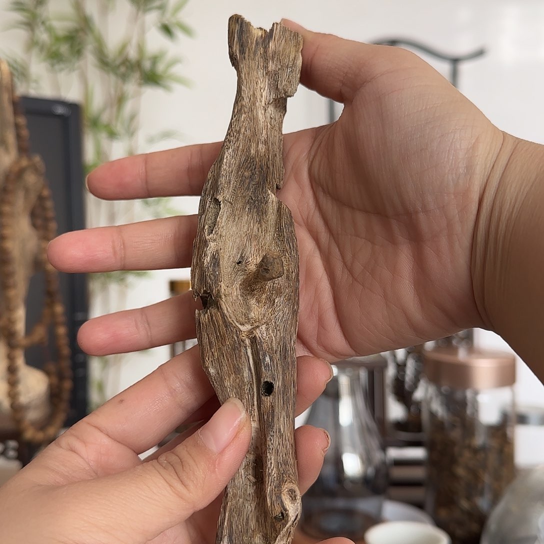 沉香沉香碎屑陆河醇化虫漏料29.5克